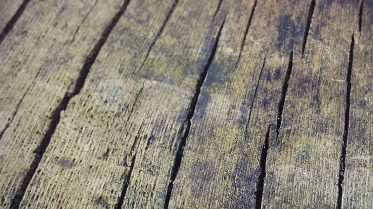 houten vloer schuren